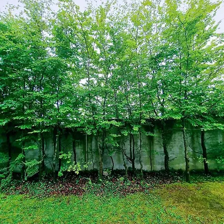 Ballybrit Private ホームステイ